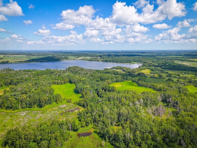 48285 229th Ave, Clearbrook, MN 56634 - aerial view of a heavily wooded area and a nearby body of water