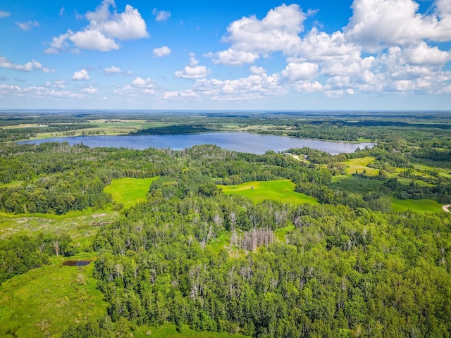48285 229th Ave, Clearbrook, MN 56634 - drone / aerial view of a nearby body of water