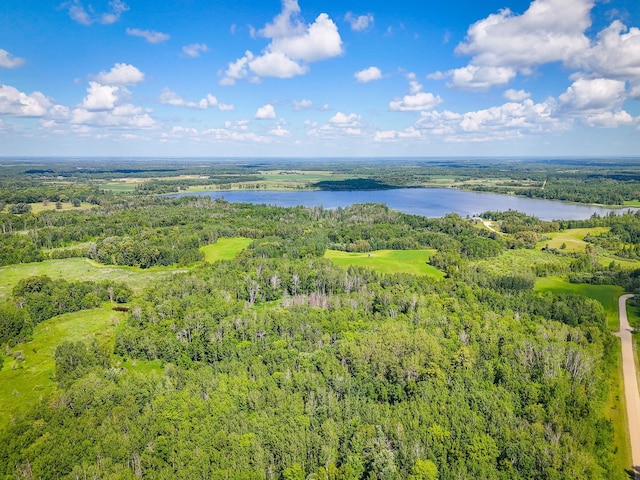 48285 229th Ave, Clearbrook, MN 56634 - drone / aerial view of a nearby body of water