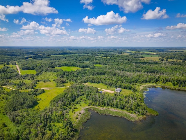 48285 229th Ave, Clearbrook, MN 56634 - bird's eye view of a heavily wooded area and a large body of water