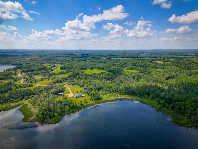 48285 229th Ave, Clearbrook, MN 56634 - bird's eye view of a forest and a large body of water