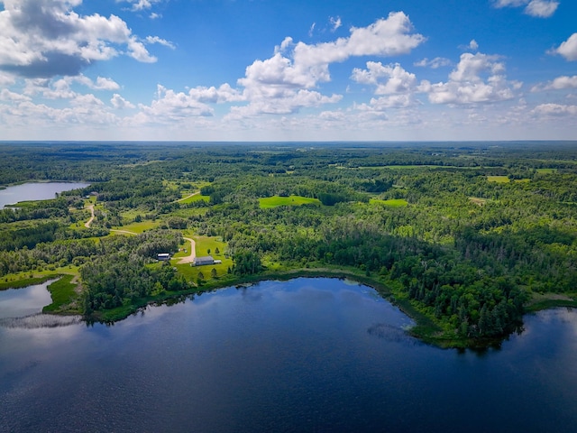 48285 229th Ave, Clearbrook, MN 56634 - aerial view of a forest and a nearby body of water