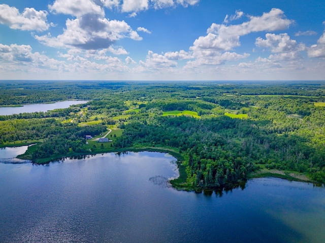 48285 229th Ave, Clearbrook, MN 56634 - bird's eye view of a heavily wooded area and a large body of water