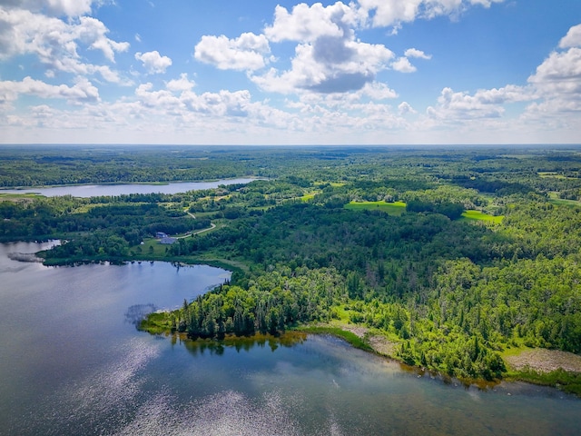 48285 229th Ave, Clearbrook, MN 56634 - bird's eye view of a forest and a large body of water