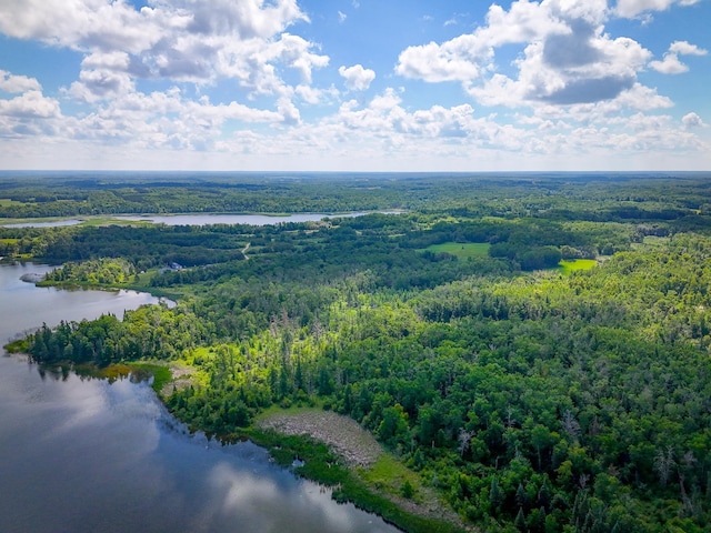 48285 229th Ave, Clearbrook, MN 56634 - bird's eye view of a forest