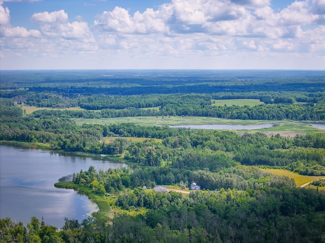 48285 229th Ave, Clearbrook, MN 56634 - aerial view of a forest and a large body of water