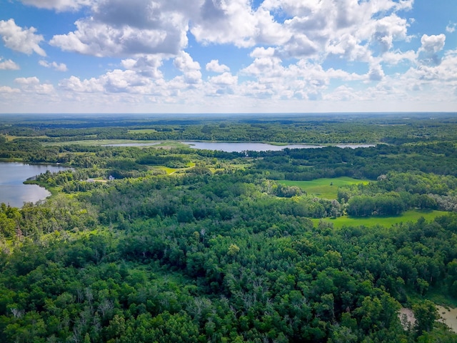 48285 229th Ave, Clearbrook, MN 56634 - bird's eye view of a forest and a nearby body of water