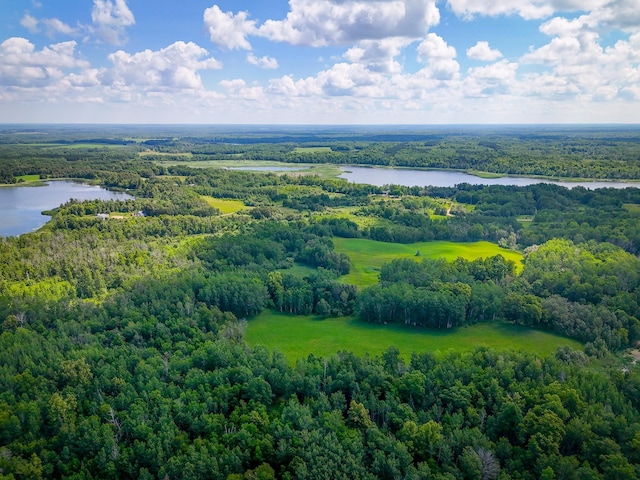 48285 229th Ave, Clearbrook, MN 56634 - aerial view of a large body of water and a forest