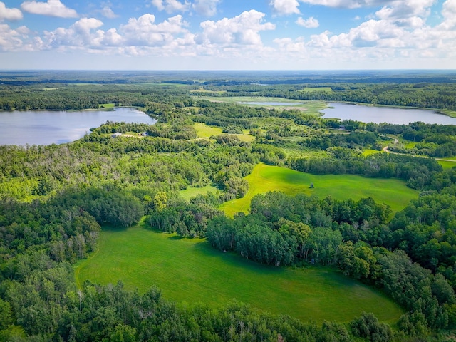 48285 229th Ave, Clearbrook, MN 56634 - bird's eye view of a large body of water