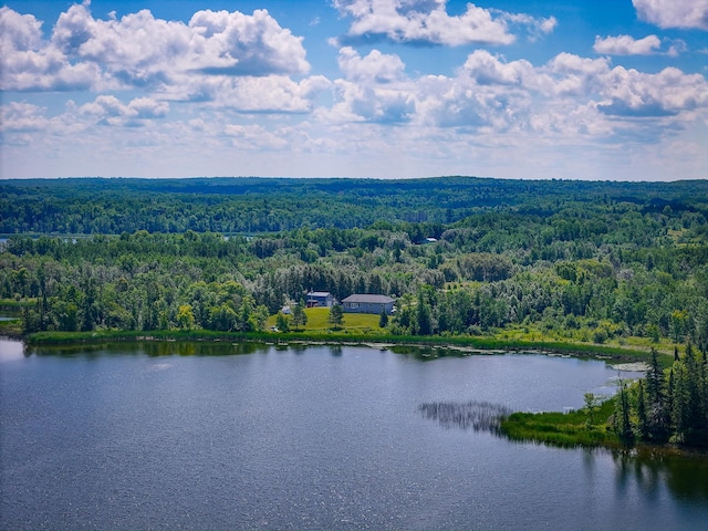 48285 229th Ave, Clearbrook, MN 56634 - aerial view of a heavily wooded area and a nearby body of water