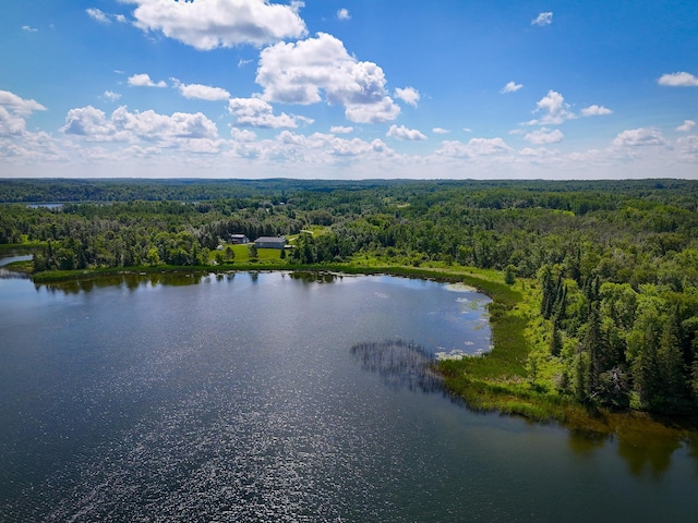 48285 229th Ave, Clearbrook, MN 56634 - bird's eye view of a heavily wooded area and a nearby body of water