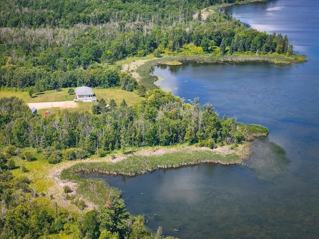 48285 229th Ave, Clearbrook, MN 56634 - aerial view of property and surrounding area with a heavily wooded area and a nearby body of water