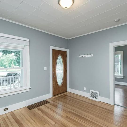 20 12th St NE, Rochester, MN 55906 - foyer entrance with healthy amount of natural light, ornamental molding, and light wood finished floors