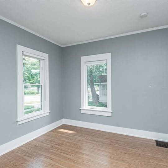 20 12th St NE, Rochester, MN 55906 - empty room with crown molding, plenty of natural light, wood finished floors, and a smoke detector