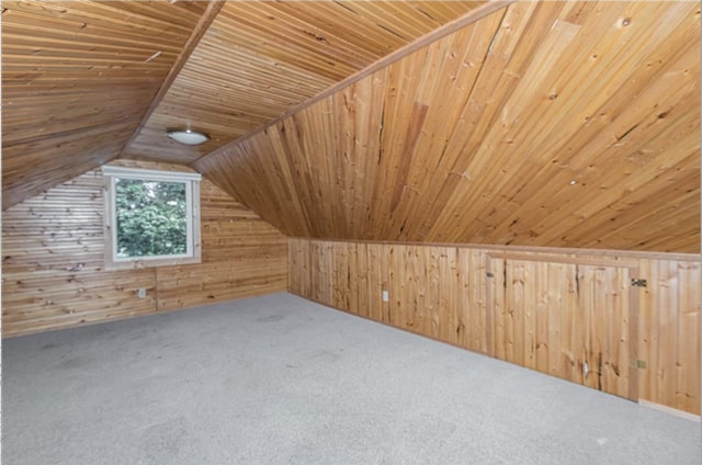 20 12th St NE, Rochester, MN 55906 - bonus room with wood walls, wooden ceiling, carpet flooring, and lofted ceiling