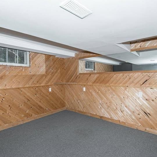20 12th St NE, Rochester, MN 55906 - bonus room featuring wooden walls and carpet floors
