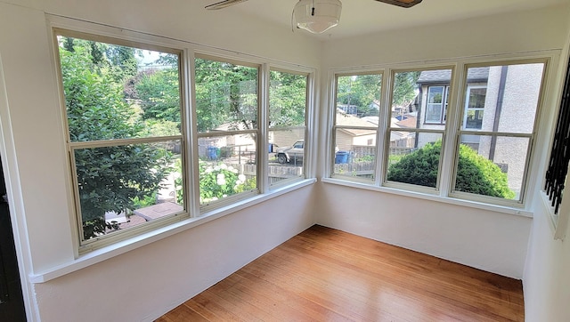 5015 17th Ave S, Minneapolis, MN 55417 - unfurnished sunroom featuring wood finished floors