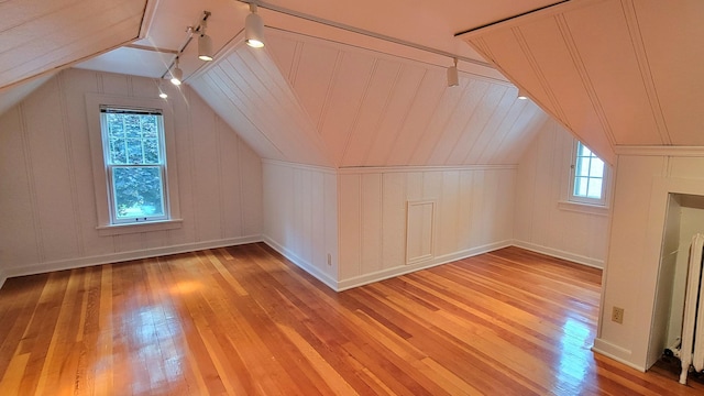 5015 17th Ave S, Minneapolis, MN 55417 - bonus room featuring light wood finished floors and lofted ceiling