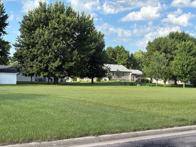 1039 Montana Ave, Benson, MN 56215 - photo 2