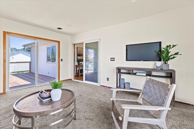 3455 Kahler Dr NE, Saint Michael, MN 55376 - carpeted living area with baseboards