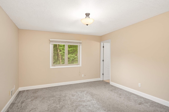 11735 52nd Ave N, Plymouth, MN 55442 - spare room with carpet flooring and a textured ceiling