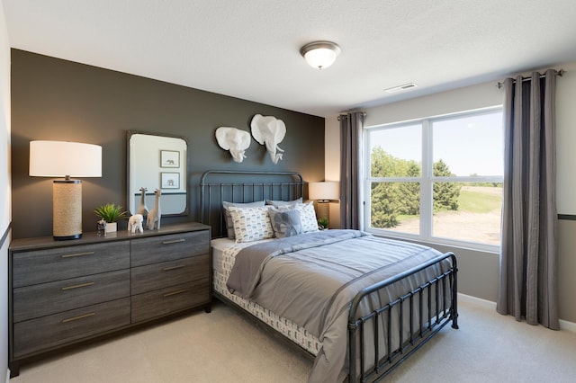 14620 106th Pl N, Maple Grove, MN 55369 - bedroom with light carpet and baseboards