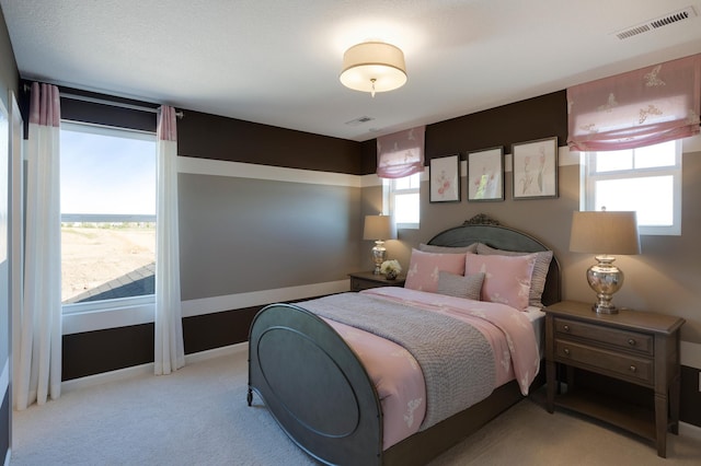 14620 106th Pl N, Maple Grove, MN 55369 - view of carpeted bedroom