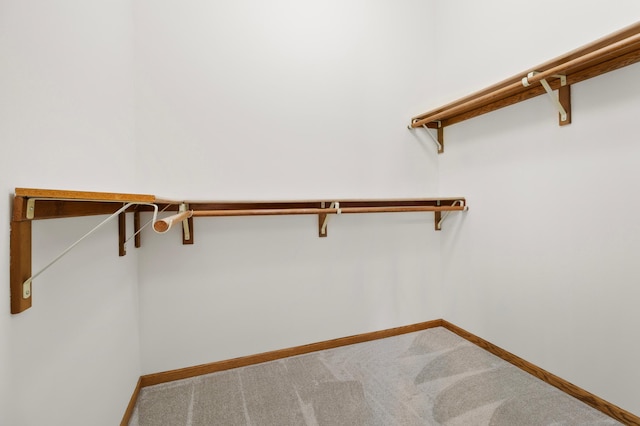 1701 Baywood Ln, Mound, MN 55364 - spacious closet featuring carpet flooring