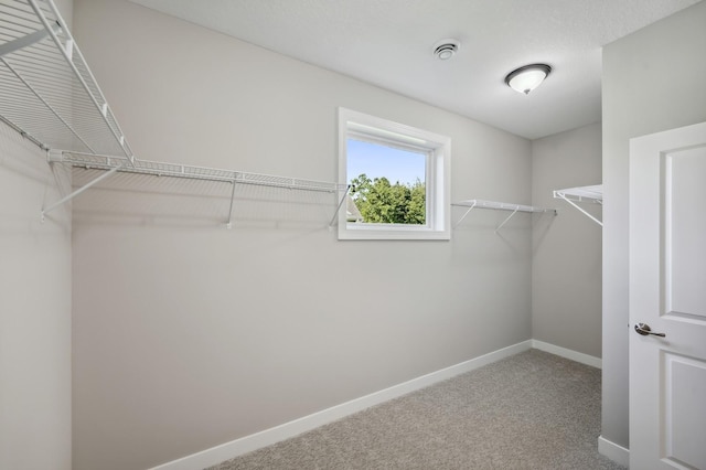 4786 384th St, North Branch, MN 55056 - walk in closet with carpet flooring