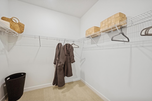 6501 Tamarack Ln, Corcoran, MN 55340 - walk in closet with light colored carpet
