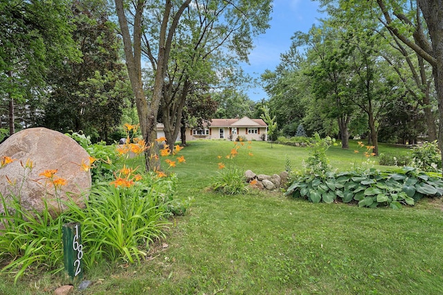1682 Oakdale Ave W, Saint Paul, MN 55118 - view of green lawn with view of wooded area
