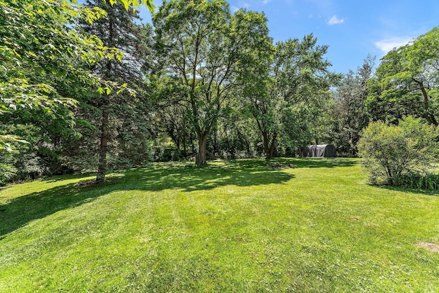 1682 Oakdale Ave W, Saint Paul, MN 55118 - view of green lawn