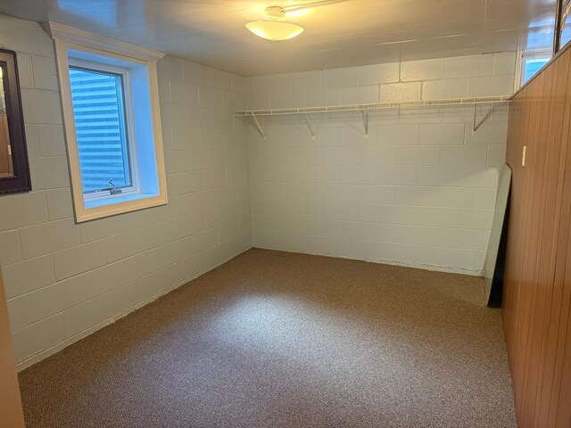 228 13th St SW, Owatonna, MN 55060 - photo 15