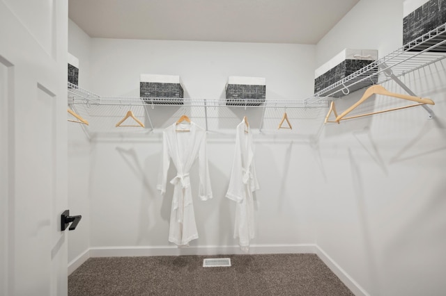 10663 Hemingway Ave S, Cottage Grove, MN 55016 - walk in closet featuring carpet floors