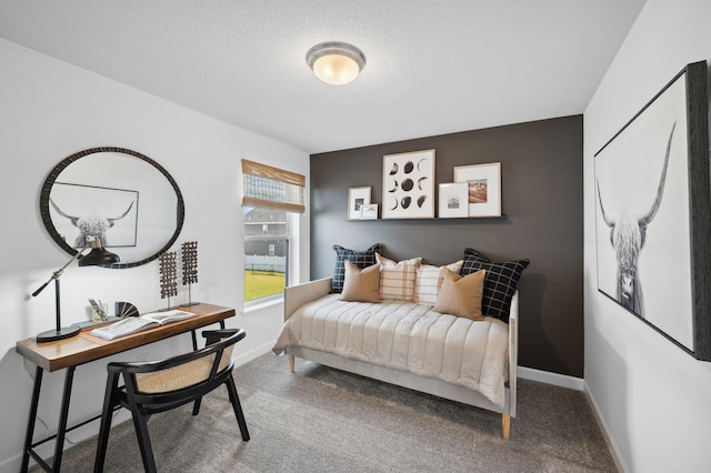 10663 Hemingway Ave S, Cottage Grove, MN 55016 - bedroom with carpet flooring and a textured ceiling