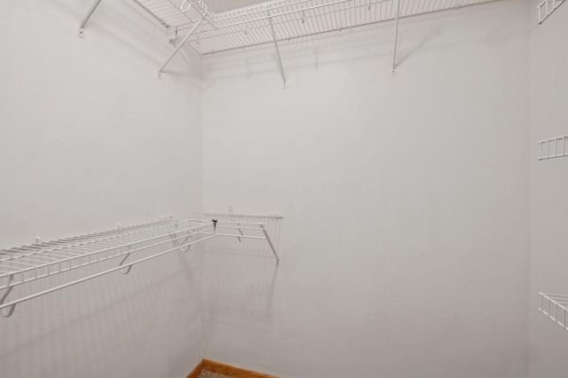 18347 Coneflower Ln, Eden Prairie, MN 55346 - view of spacious closet