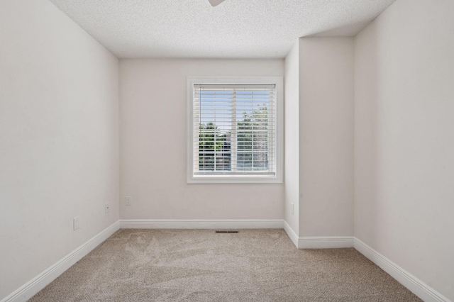18347 Coneflower Ln, Eden Prairie, MN 55346 - unfurnished room featuring carpet and a textured ceiling