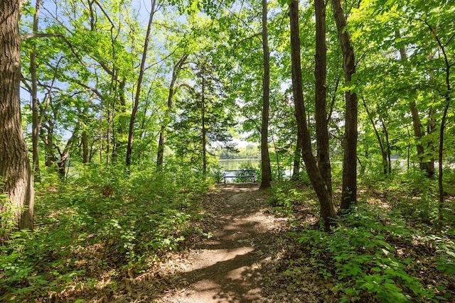 18347 Coneflower Ln, Eden Prairie, MN 55346 - view of local wilderness with a nearby body of water
