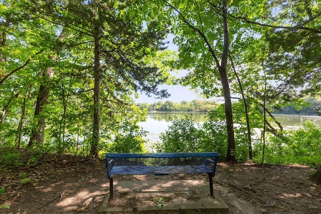 18347 Coneflower Ln, Eden Prairie, MN 55346 - view of yard featuring a water view