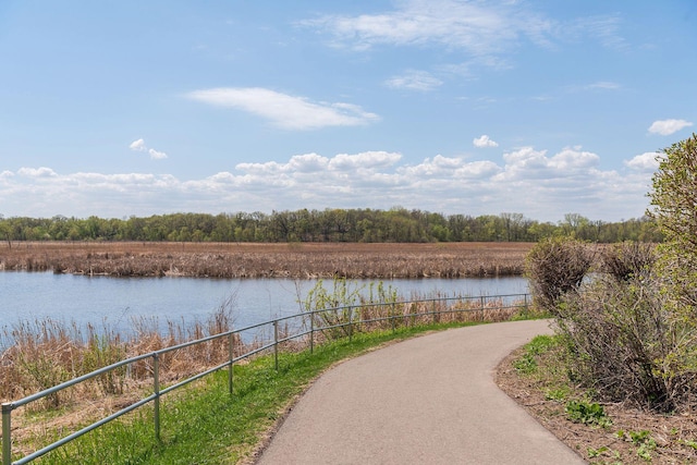 18347 Coneflower Ln, Eden Prairie, MN 55346 - water view