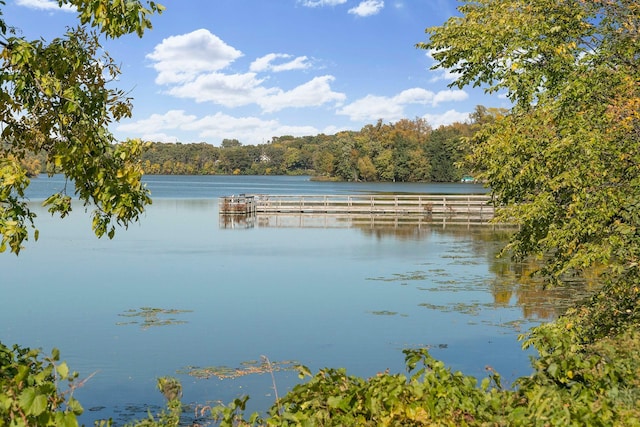 18347 Coneflower Ln, Eden Prairie, MN 55346 - water view featuring a heavily wooded area
