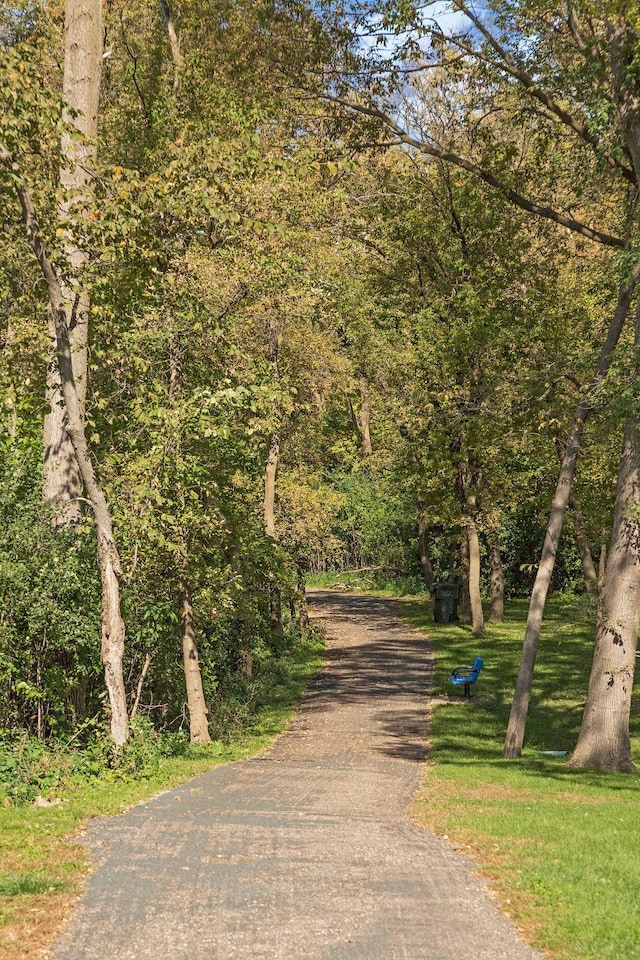 18347 Coneflower Ln, Eden Prairie, MN 55346 - view of road with a forest view