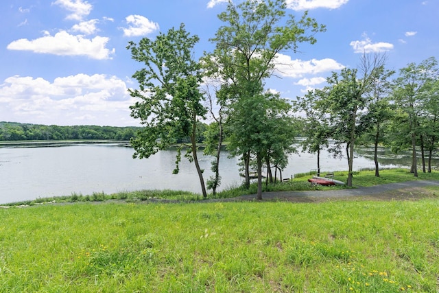 4825 Linden Cove Ln, Savage, MN 55378 - photo 57