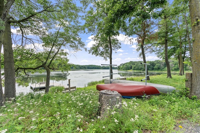 4825 Linden Cove Ln, Savage, MN 55378 - photo 59