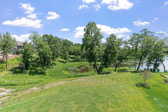 4825 Linden Cove Ln, Savage, MN 55378 - photo 61