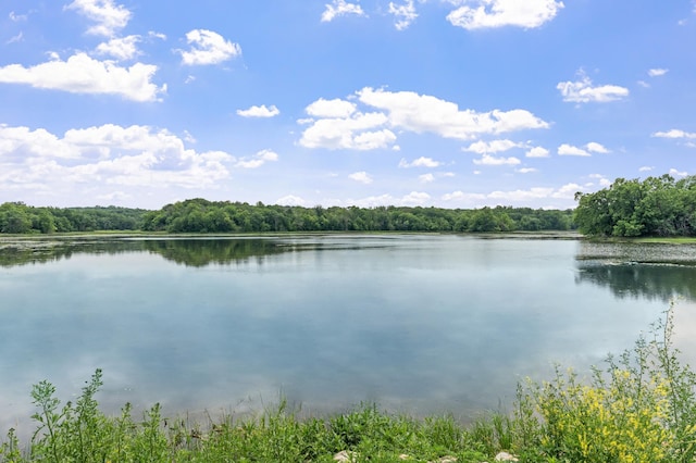 4825 Linden Cove Ln, Savage, MN 55378 - photo 62