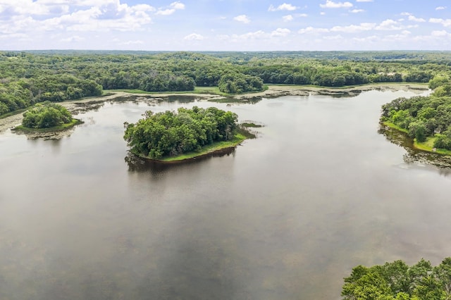 4825 Linden Cove Ln, Savage, MN 55378 - photo 63