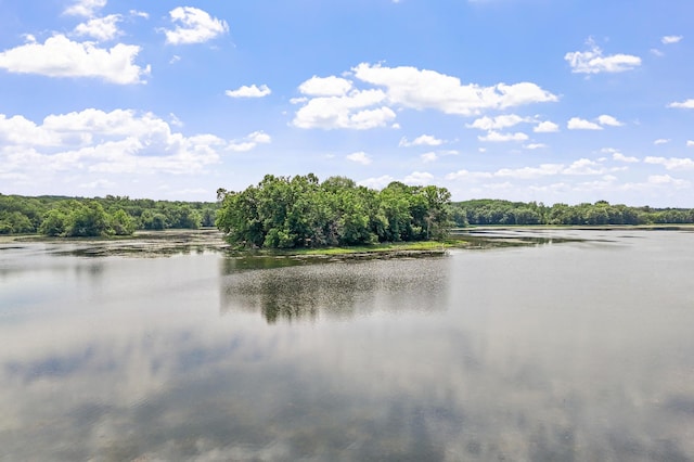 4825 Linden Cove Ln, Savage, MN 55378 - photo 64