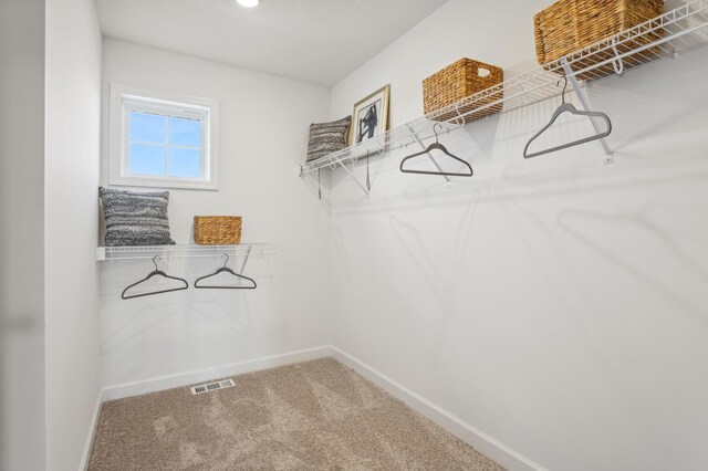 2436 Hadley Hills Dr NE, Rochester, MN 55906 - spacious closet with carpet floors