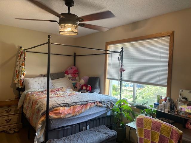 1141 5th St E, Saint Paul, MN 55106 - bedroom with a textured ceiling and a ceiling fan